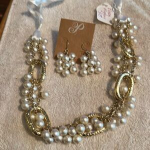 Plunder Posse Mystery